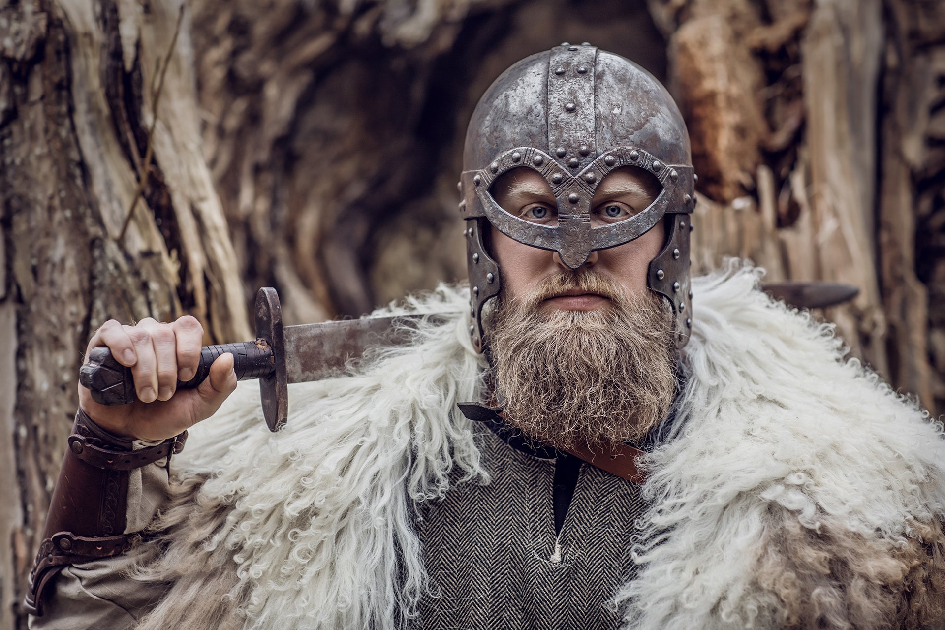 Overwhelmed with the huge Treasure of 100 Viking swords found in Estonia - BAP NEWS