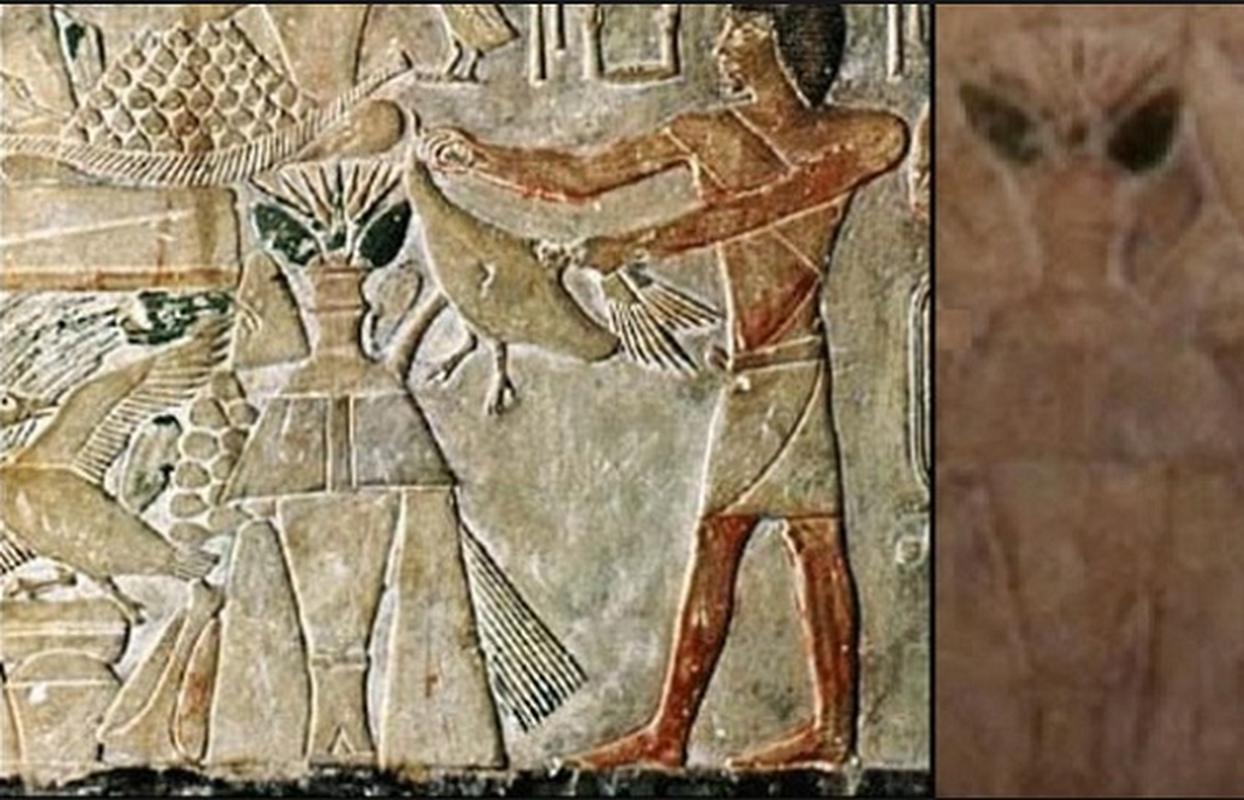 Hot: Announcing evidence of aliens appearing in Egypt since ancient times?