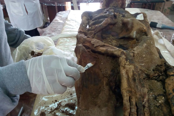 Seven Mummified Remains From The El-Mezawaa Necropolis Restored, Revealing Their Complex Lifestyles - BAP NEWS