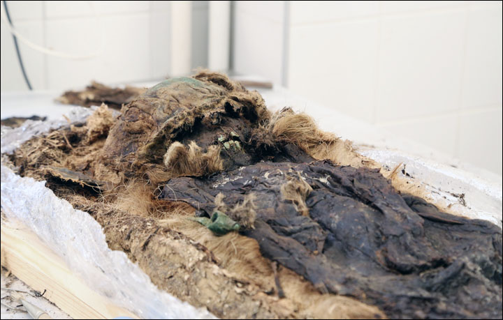 Up-close laboratory pictures of ancient mummy as scientists recreate his life and times