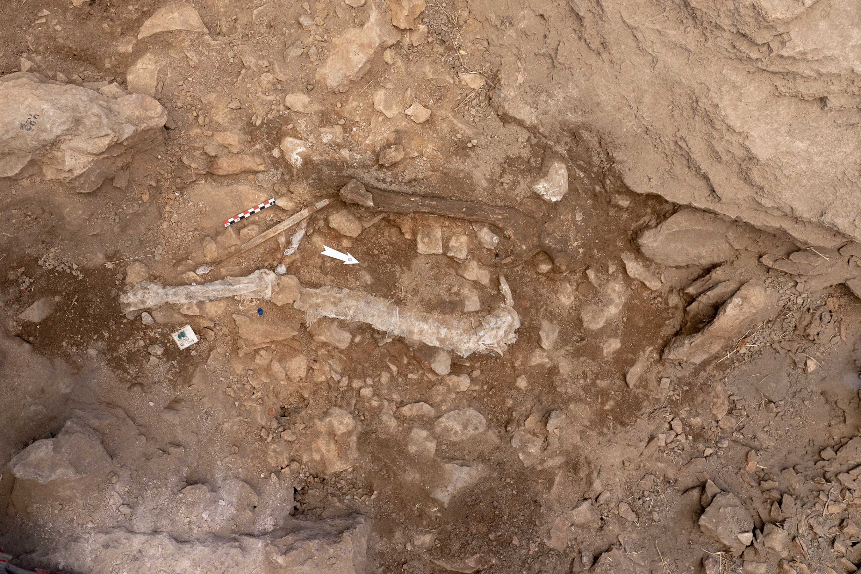 Unearthing Ancient Secrets: The Remarkable Crocodile Mummies of Qubbet el-Hawa