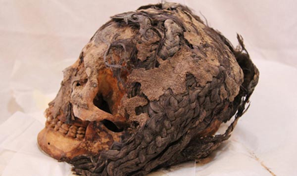 A 3,300-Year-Old Hairstyle on a Preserved Ancient Egyptian Head - BAP NEWS