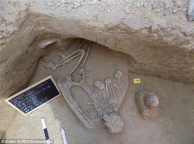 Journey into the Past: Unraveling the Story Behind 80 Ancient Skeletons with Hands Tied above Heads