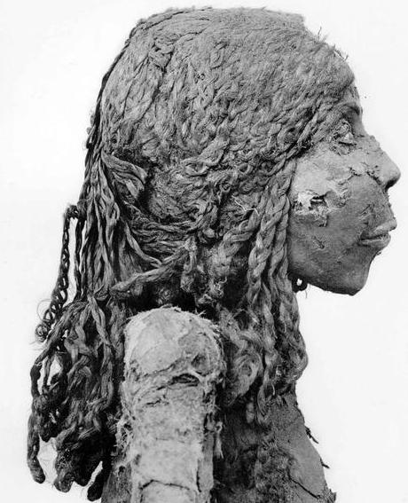 A 3,300-Year-Old Hairstyle on a Preserved Ancient Egyptian Head - BAP NEWS