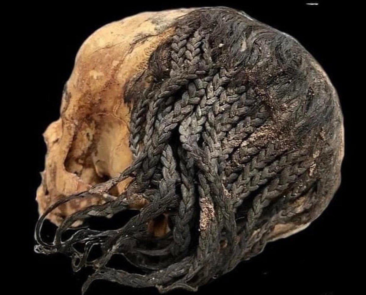 A 3,300-Year-Old Hairstyle on a Preserved Ancient Egyptian Head - BAP NEWS