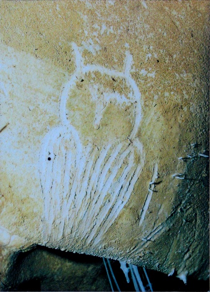 Owl Engraving, Chauvet Cave (Replica)