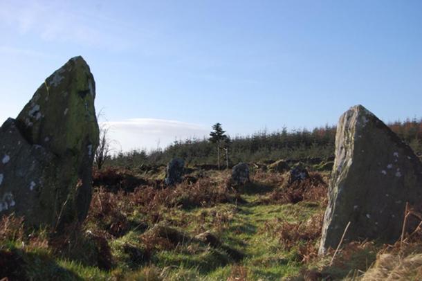 Baltinglass Hill: Ireland’s Forgotten Gobekli Tepi?