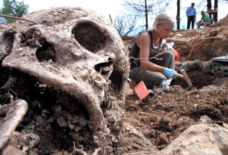 Skeletons Foυnd in an Ancient City Reʋeal Historical Secrets of East Africa -