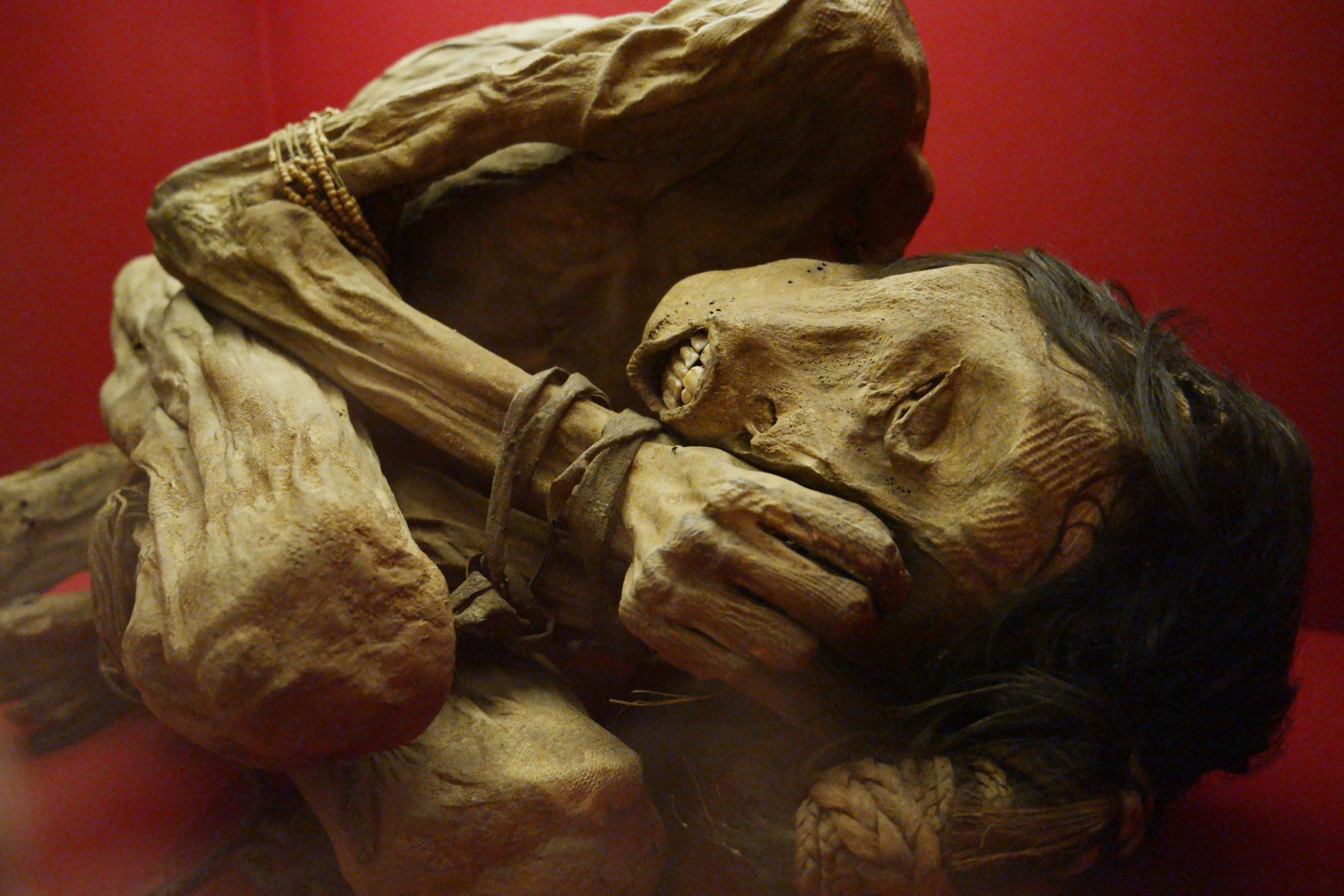 Journey into the Past: Decoding the Hidden Secrets of the Chimu Culture through the Fetal Mummy