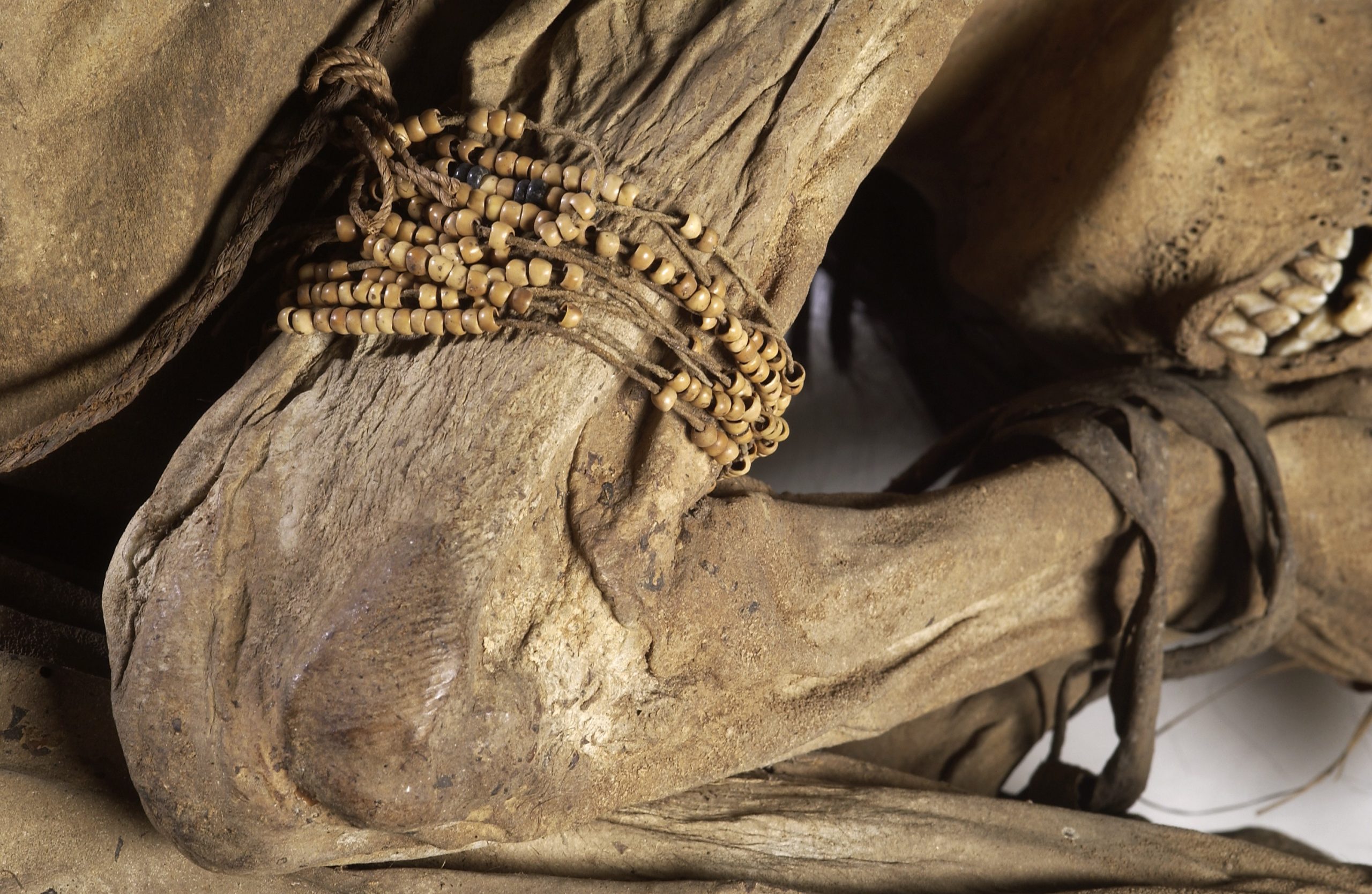 Journey into the Past: Decoding the Hidden Secrets of the Chimu Culture through the Fetal Mummy