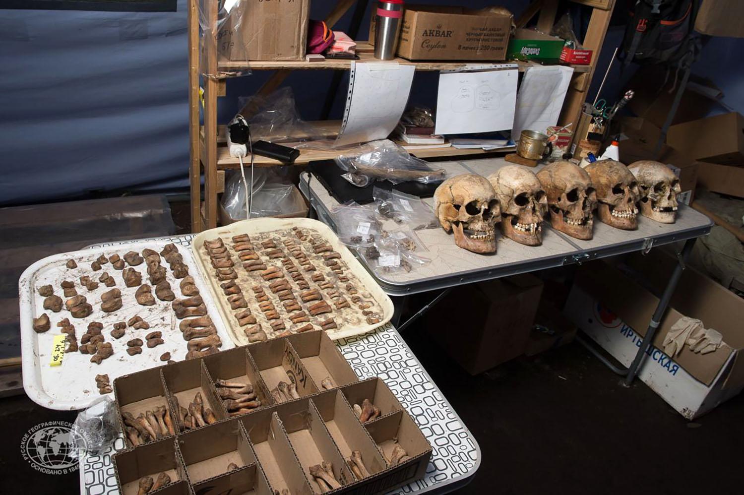 Unveiling the Mysteries: Russia’s Deep Dive into the DNA of the Scythian Burial Grounds