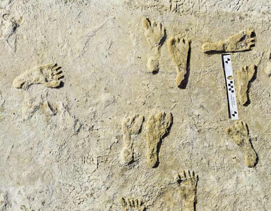 The oldest trace of human activity discovered in North America dates back 23,000 years - T-News