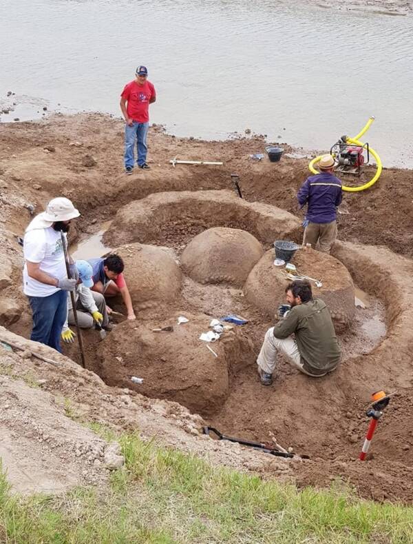 Argentinian Farmer Finds Family Of 20,000-Year-Old Car-Sized Armadillos Huddled In His Yard - NY NEWS