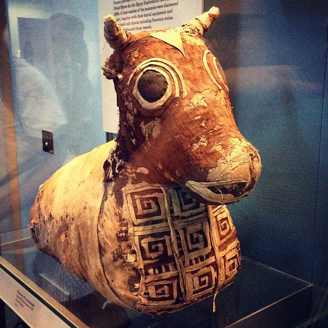 The Mummified Animals of Ancient Egypt