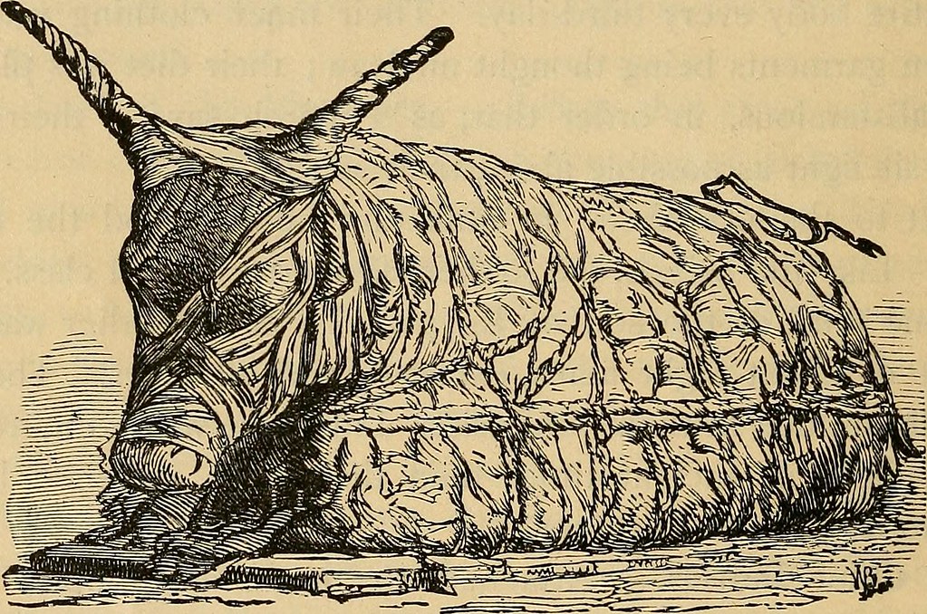 The Mummified Animals of Ancient Egypt