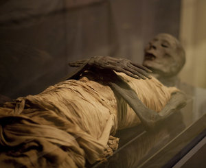 The Mummified Animals of Ancient Egypt