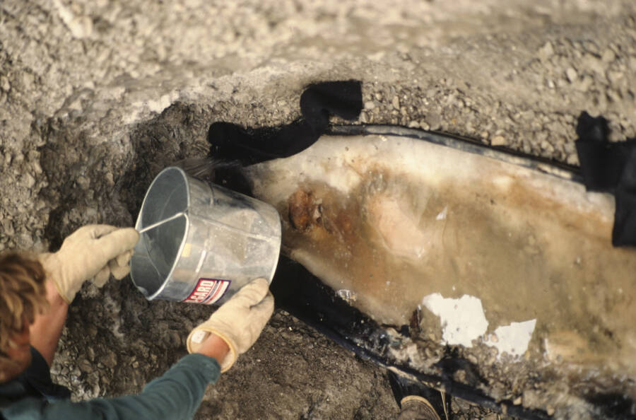 The preserved body of John Torrington, one of the Franklin expedition mummies left behind after the crew was lost in the Canadian Arctic in 1845.