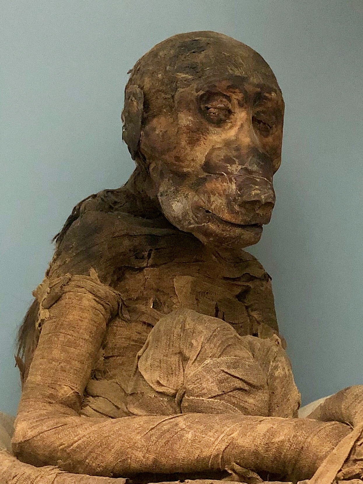 The Mummified Animals of Ancient Egypt
