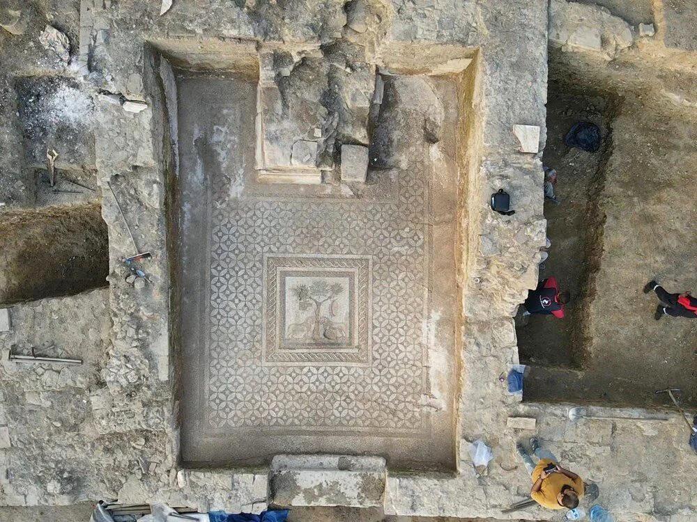 Roman lion mosaic unearthed in ancient city Prusias ad Hypium