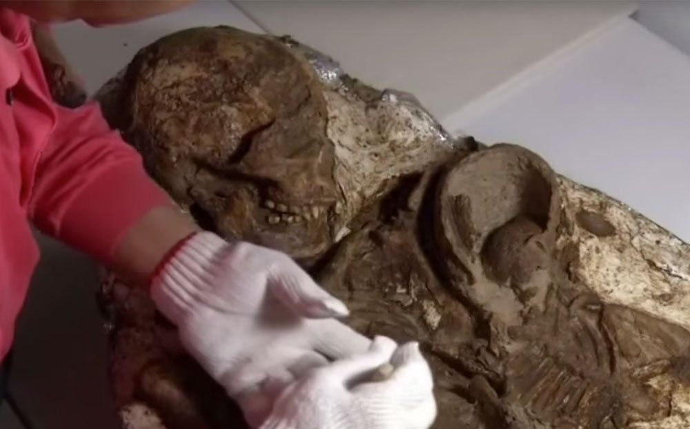 Taiwan finds 4,800-year-old fossil of mother cradling baby